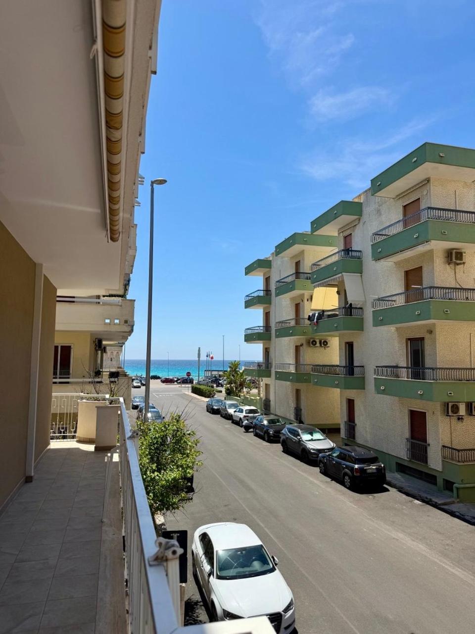 Salsedine 26